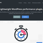 Perfmatters  – Lightweight Performance Plugin