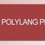 Polylang Pro – Multilingual Plugin