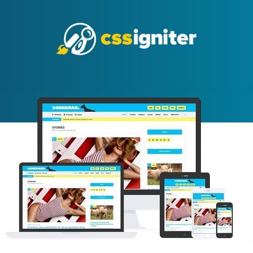 CSS-Igniter-Doberman-WordPress-Theme.jpg CSS Igniter Doberman WordPress Theme - Image 1