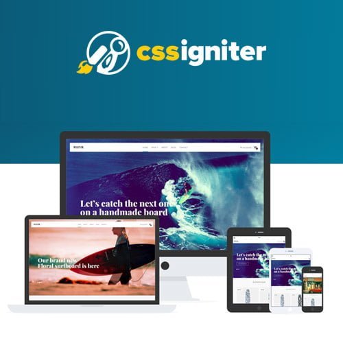 CSS-Igniter-Flevr-Woocommerce-Theme.jpg CSS Igniter Flevr Woocommerce Theme - Image 1