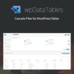 Powerful Filters for wpDataTables