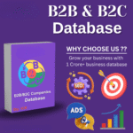 1 Million B2B And B2C Database