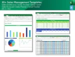 30+ Sales Management Templates - Image 3