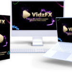 VidzFX